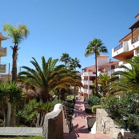 Forest Flat - Big Heated Pool, Terrace, Tv Channels * San Miguel de Abona