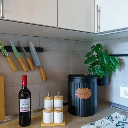 公寓 Forest Flat - Big Heated Pool, Terrace, Tv Channels 圣米格尔德阿沃纳